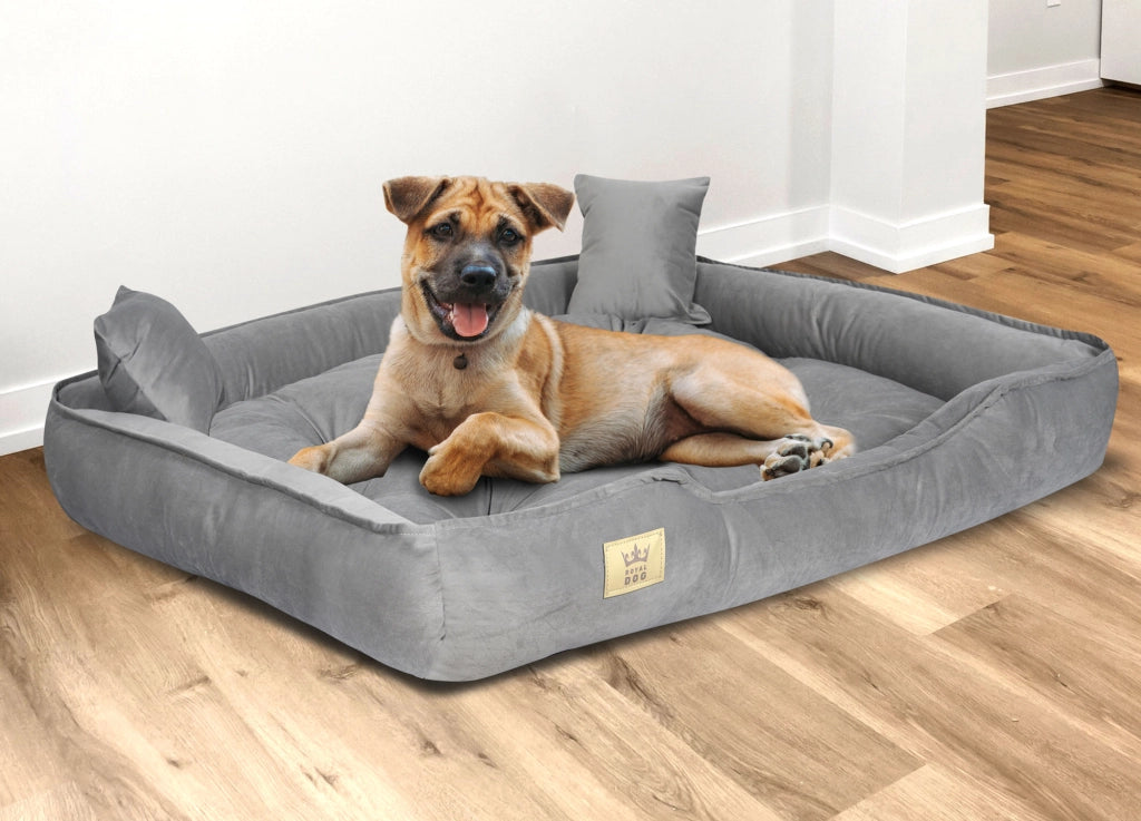 AIO FACTORY Cuccia per cani 130x105 cm in velluto grigio con cuscino impermeabile