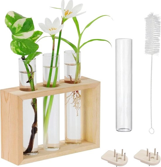 Vaso di Vetro per Piante con Stantuffo in Legno e 4 Bocchette per Fiore - Terrario per Tavolo per Casa e Cura delle Piante - Stazione per Piante Moderna per Flora e Decorazione