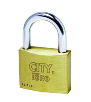 Iseo LUCCHETTO DI SICUREZZA CITY Arco standard  mm. 25 10.00 pz
