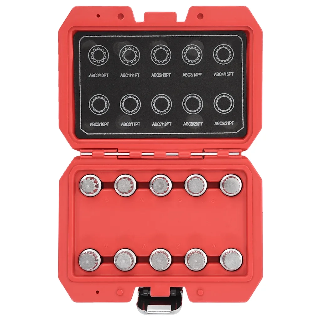 Kit di Dadi Autobloccanti 10 pz per VW 210492
