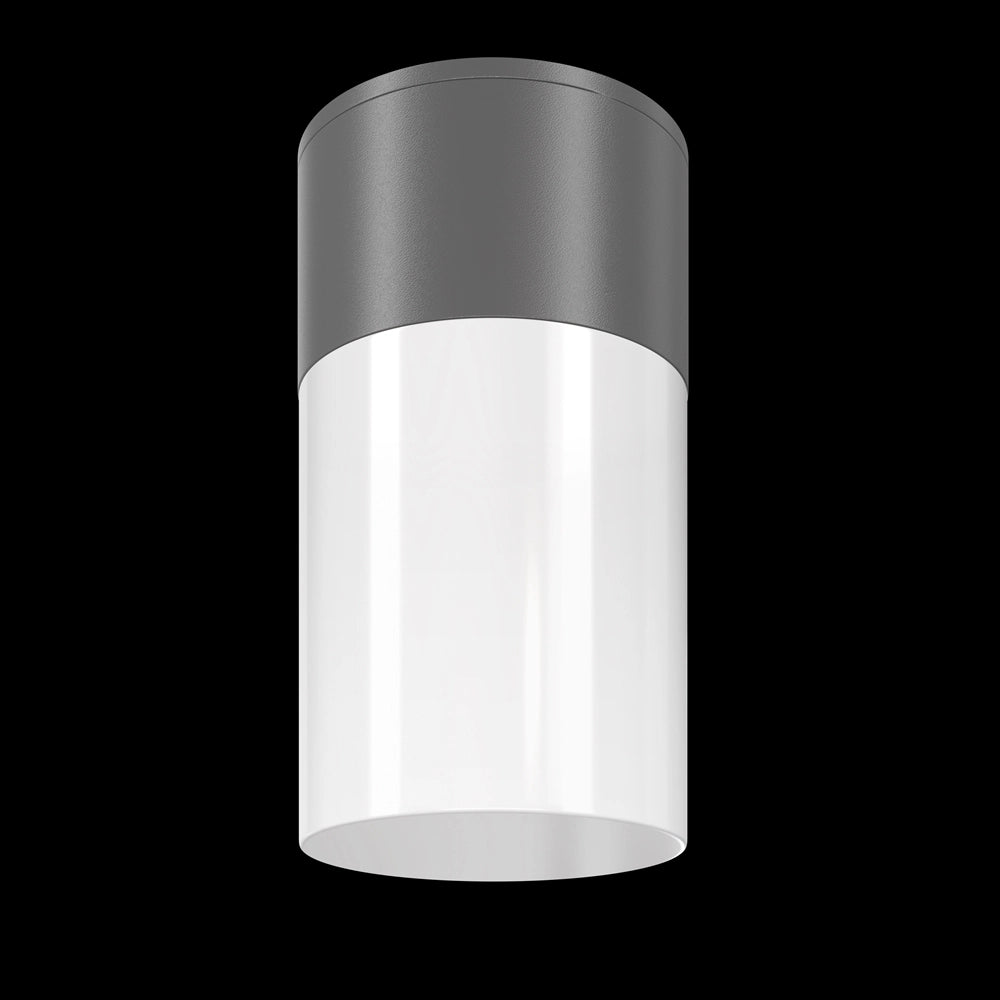 Maytoni plafoniera Willis O418CL-01GR grafite IP54 E27