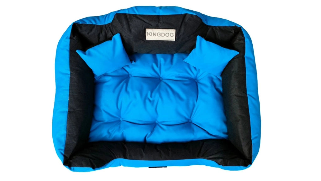 AIO FACTORY 75x65 cm KINGDOG Cuccia per cani impermeabile personalizzabile Blu