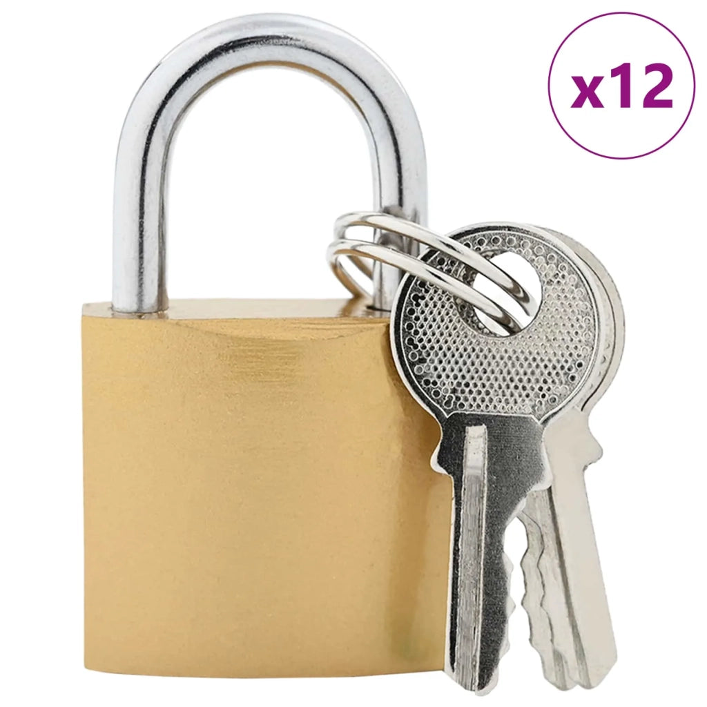 U Lock con Chiavi 12 pz Ottone Ferro CFW1561015