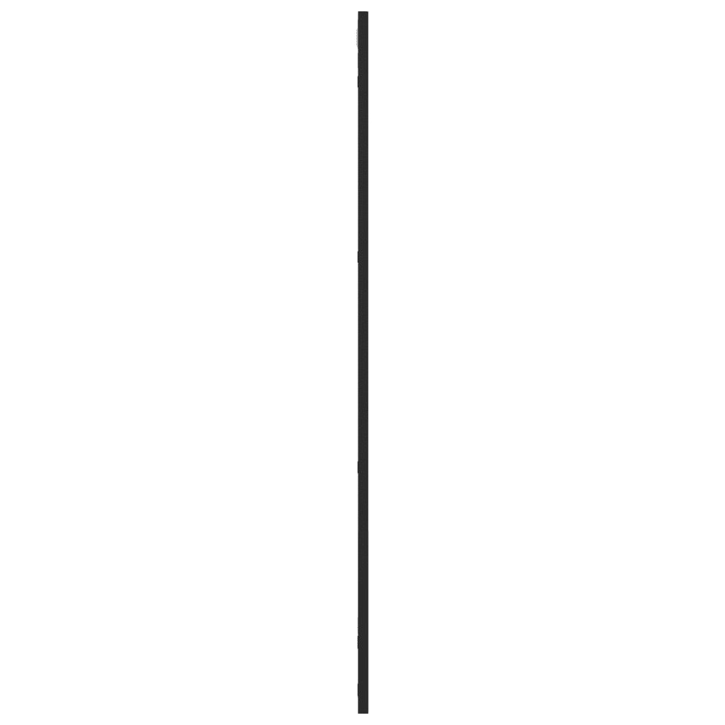 Specchio da Parete Nero 50x100 cm Rettangolare in Ferro 358649