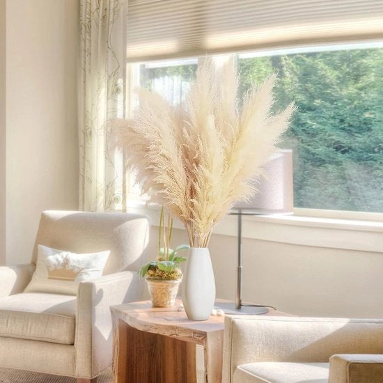 Pampas grande, 6 pezzi di pampas, decorativo pampas, secco, 100 cm, pampas, fiori secchi, XXL, fiori, beige, naturale, per soggiorno, matrimonio, decorazione boho