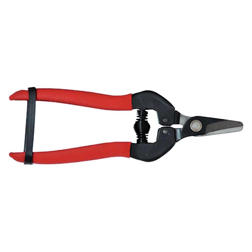 FORBICI COGLIUVA cm 16 - pz. 1  - Blister Koncreto