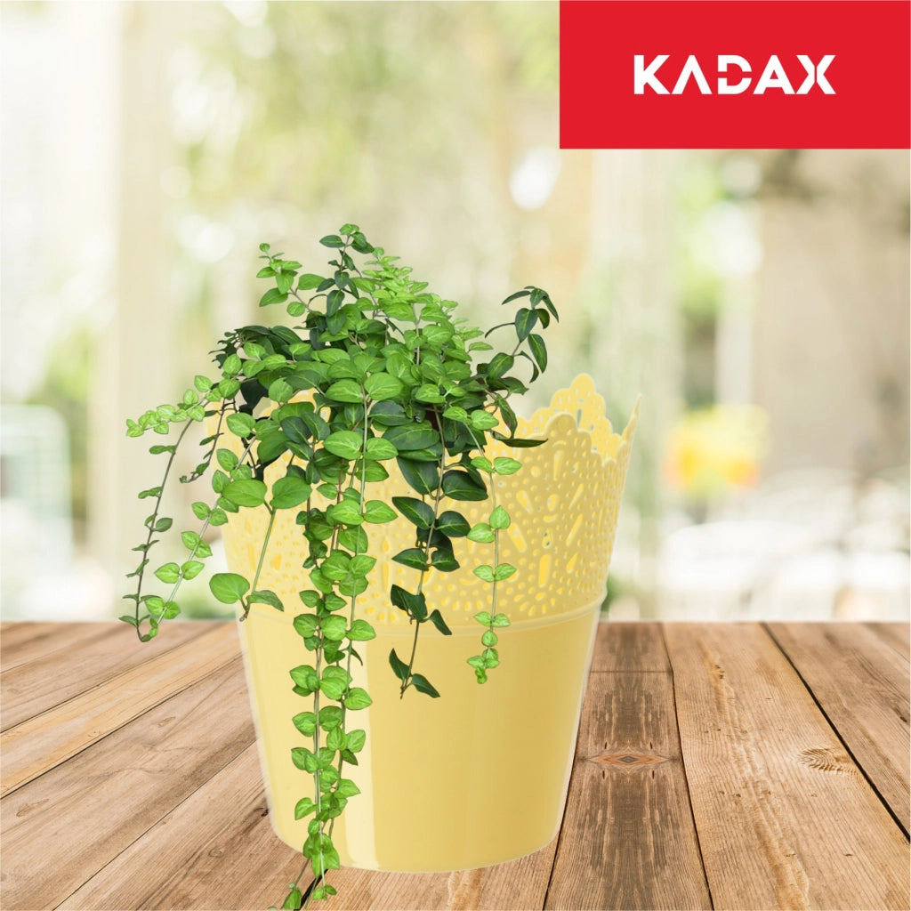 Vaso da fiori KADAX, Vaso da fiori, Vaso da fiori alto, Supporto per fiori, Ciotola lucida, 14,5 cm, Giallo