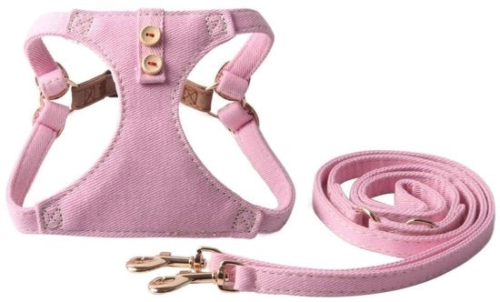 Cinturone per Cani Adattabile - Lunghezza 125 cm - Sistema di Entrata - Adatto per Cani Piccoli/Mediali - Cinghie Robuste - Funzione Multifunzionale - Cinturino