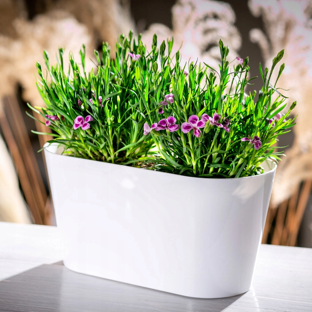Vaso da fiori KADAX, vaso per fiori, coperchio in plastica, 27 cm, supporto per fiori, balcone, bianco
