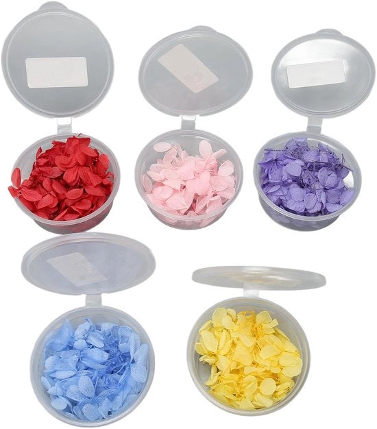 Accessori DIY - Fiori Preformati - 5 Colori - Materiale Sostenibile - Accessori per Fai da Te - Artigianato - Utilizzo Versatile - Fiori Secchi
