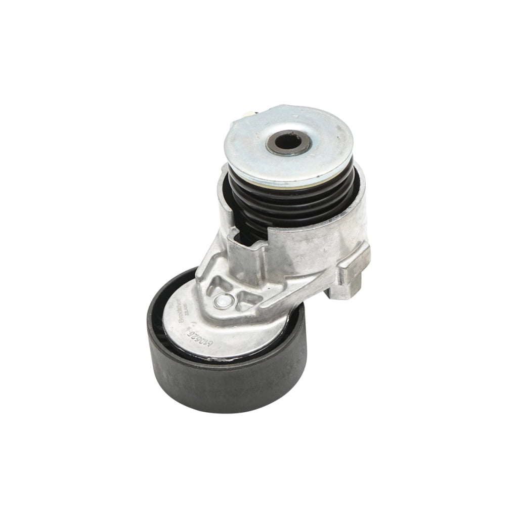 Accessori puleggia cinghia Dacia Logan e Duster 1.5dCi con AC 8200608550