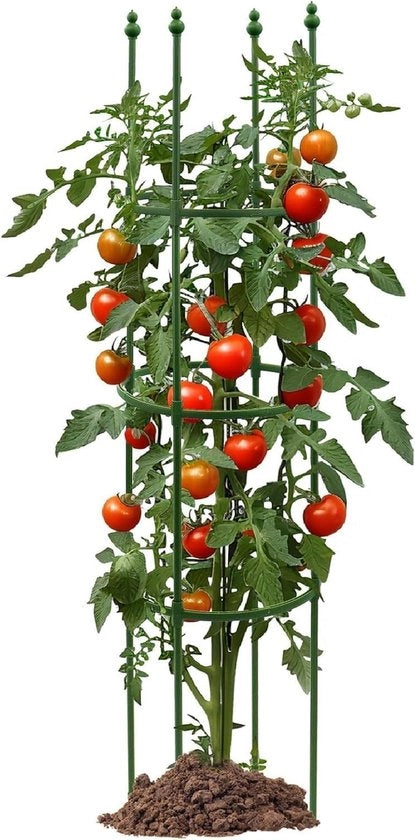 Sostegno per piante obelisco per tomate e rose (140 cm)