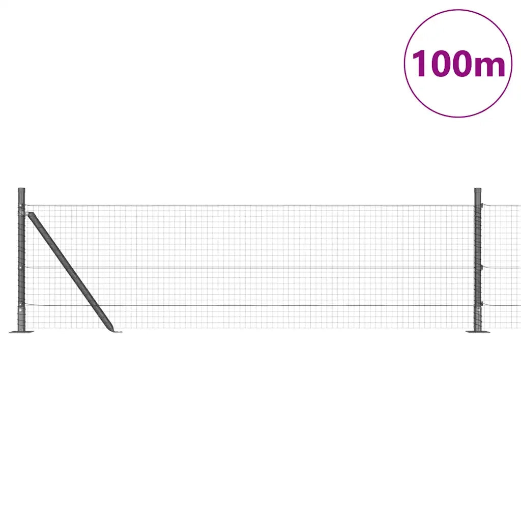 Palo della recinzione Grigio 100 x 0,4 m (rete 25 x 25 mm)