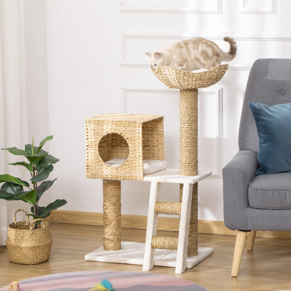 Tiragraffi per Gatti ¨C Xylo ¨C Altezza 100,5 cm con Cuscini e Scala