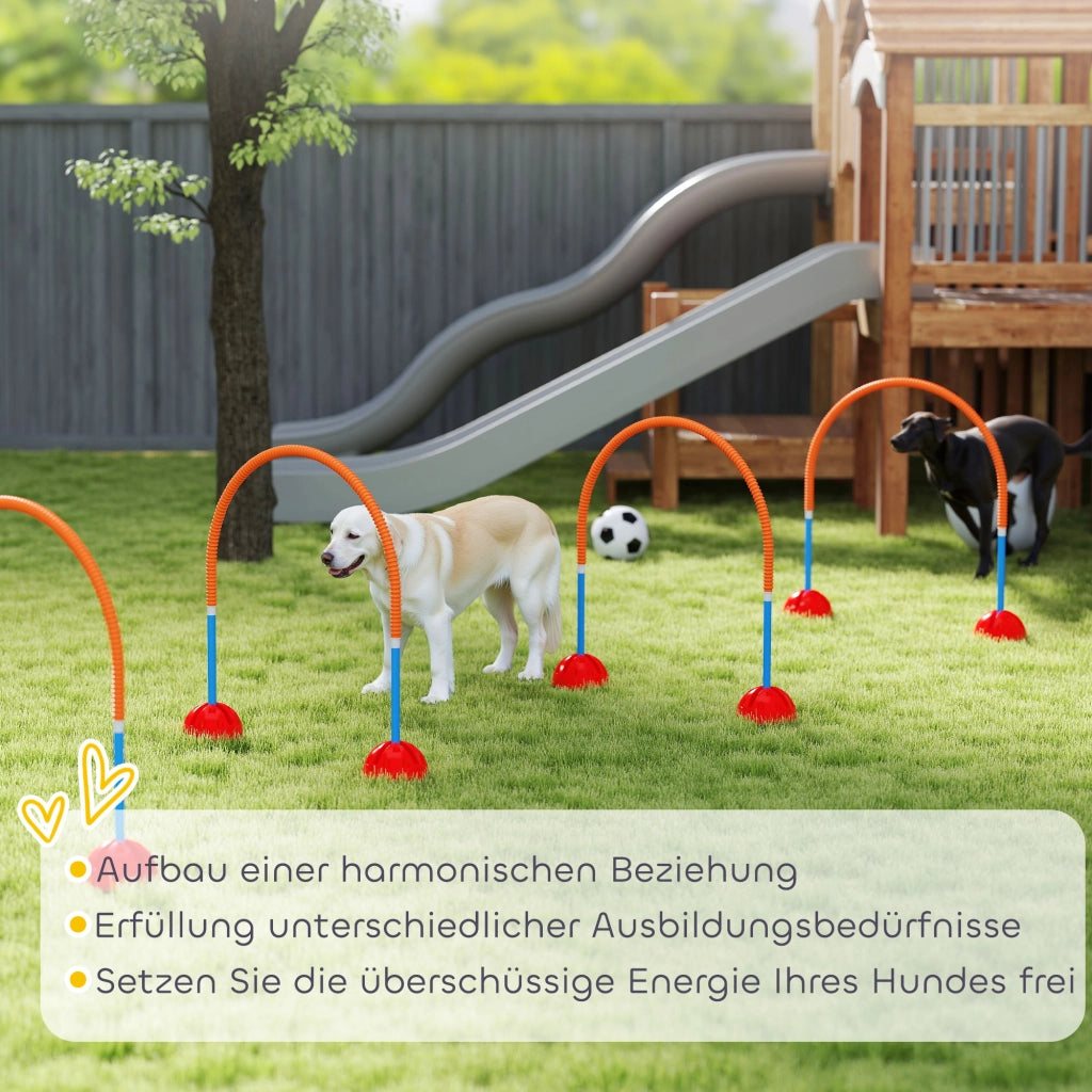 Set Attrezzatura Agility per Cani 4 Pezzi ¨C Minimal ¨C Blu