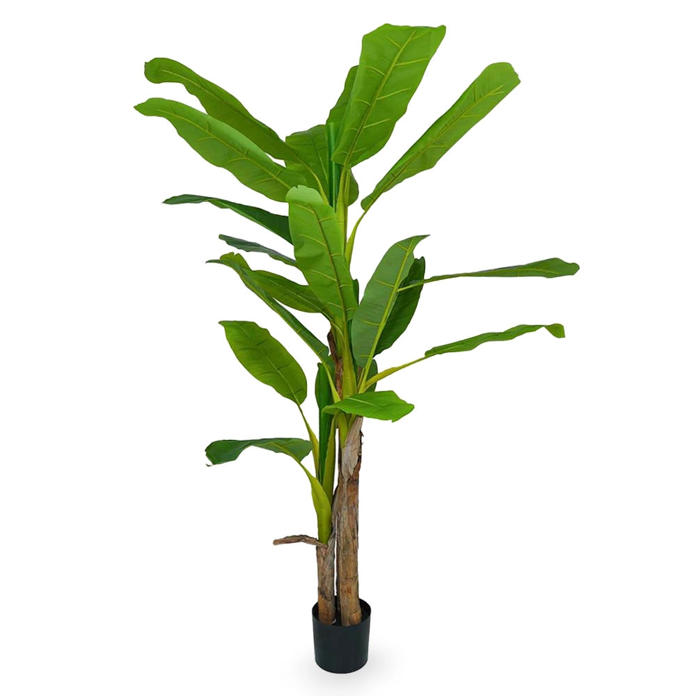 Banano Artificiale con vaso plastica pianta tropicale finta realistica h 210 cm