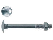 CAVICCHIA ACCIAIO TESTA TONDA CON DADO IN BLISTER- - ø mm.10x40 in blister pz.5 (C) - 5 blister AMBROVIT