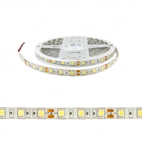STRISCE LED '5050' 12V - IP20 - 6000k - Rotolo 5 metri