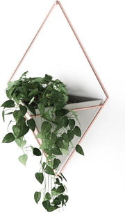 Vasca e Vaso per Piante Geometrico - Moderno Cemento/ Ottone per Piante da Interno e Cacti