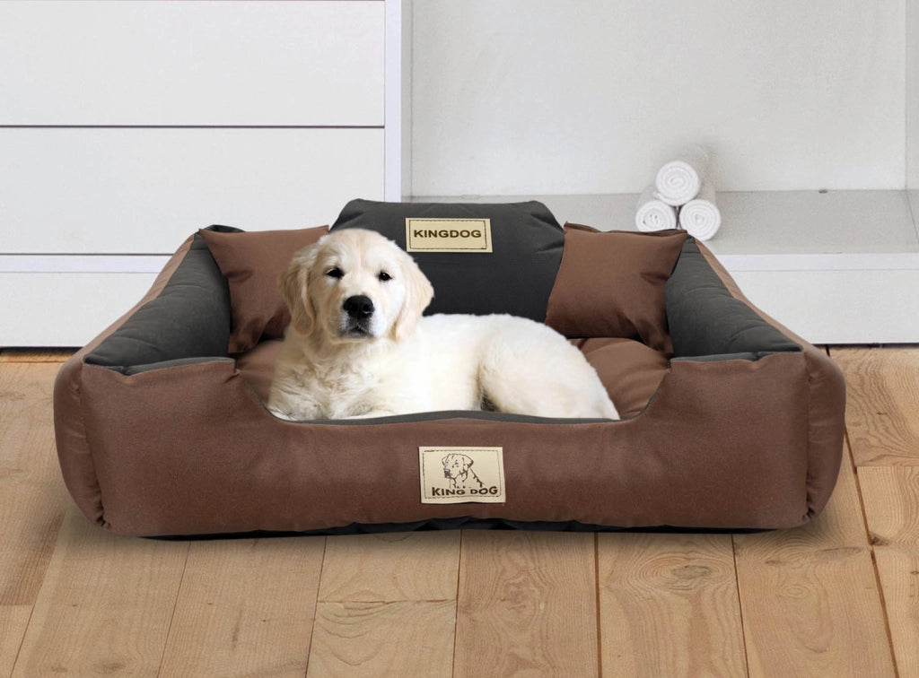 AIO FACTORY 55x45 cm KINGDOG Cuccia per cani impermeabile personalizzabile Marrone