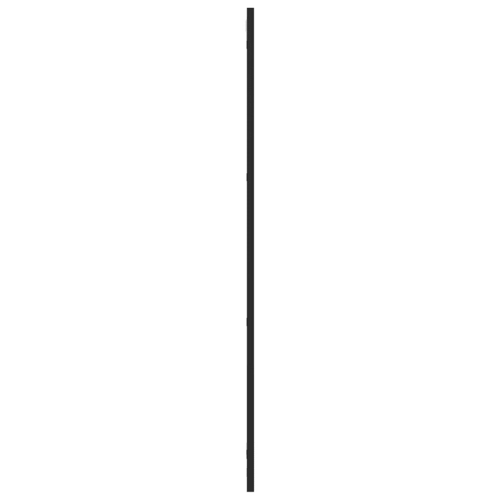 Specchio da Parete Nero 30x100 cm Rettangolare in Ferro 358643