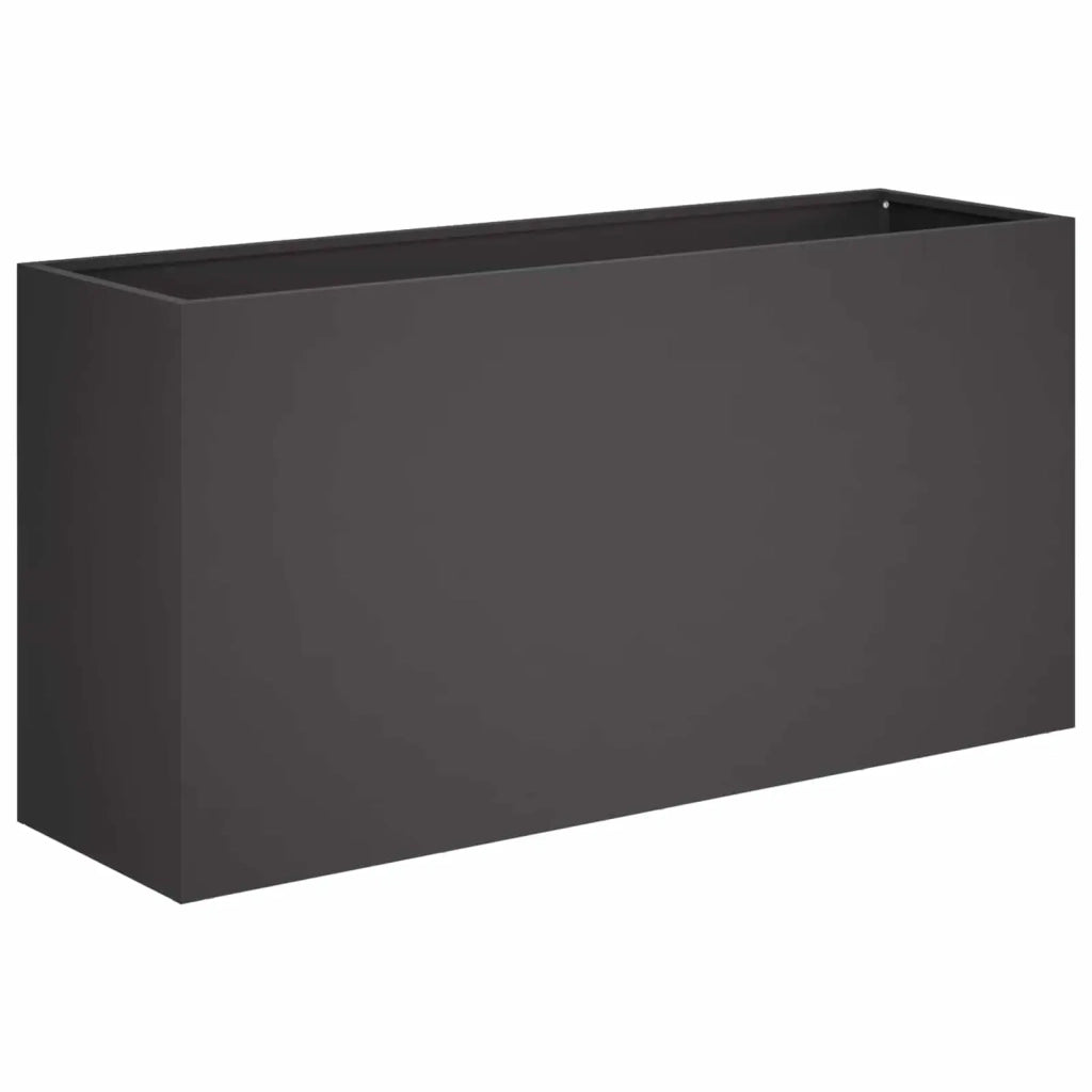 Vaso da giardino 2 pz Nero 100 x 30 x 50 cm 8005625