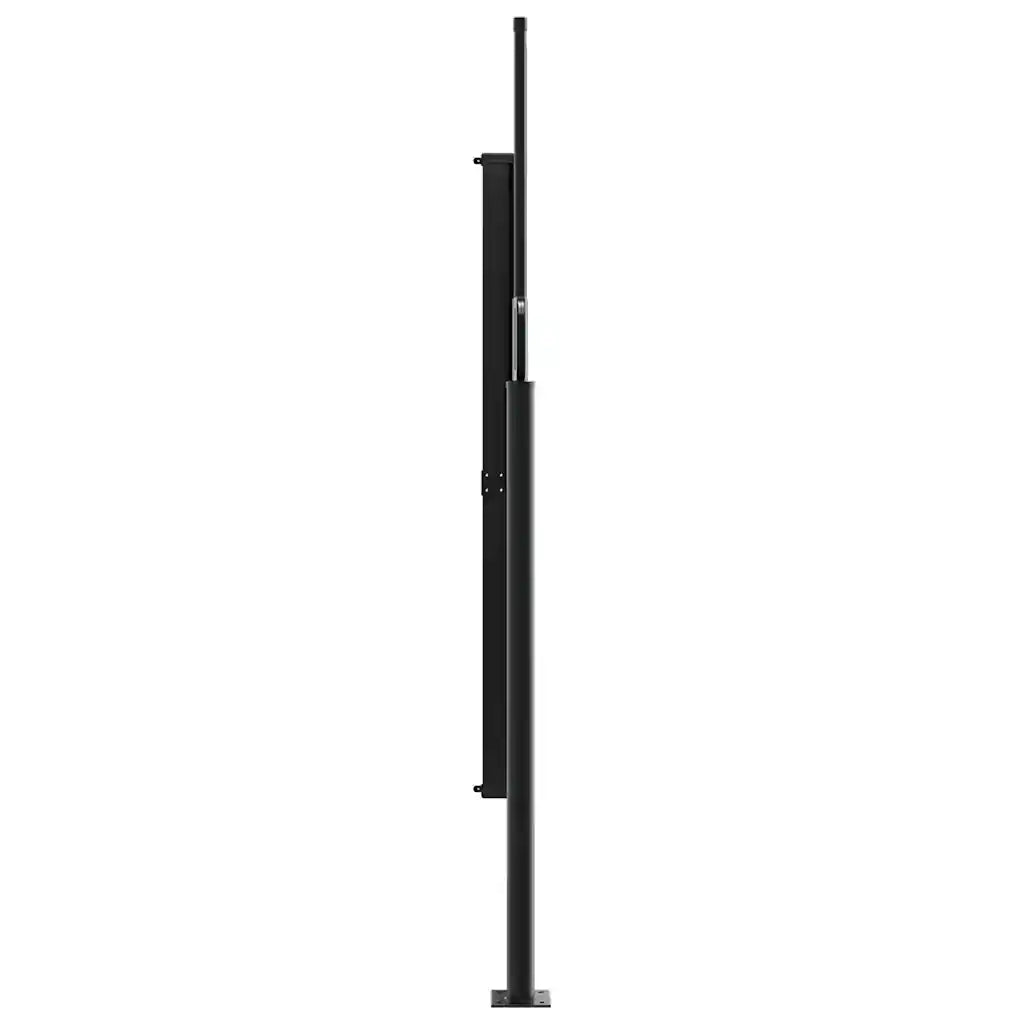 Tenda da Sole Laterale Retrattile Marrone 160x300 cm 4004314