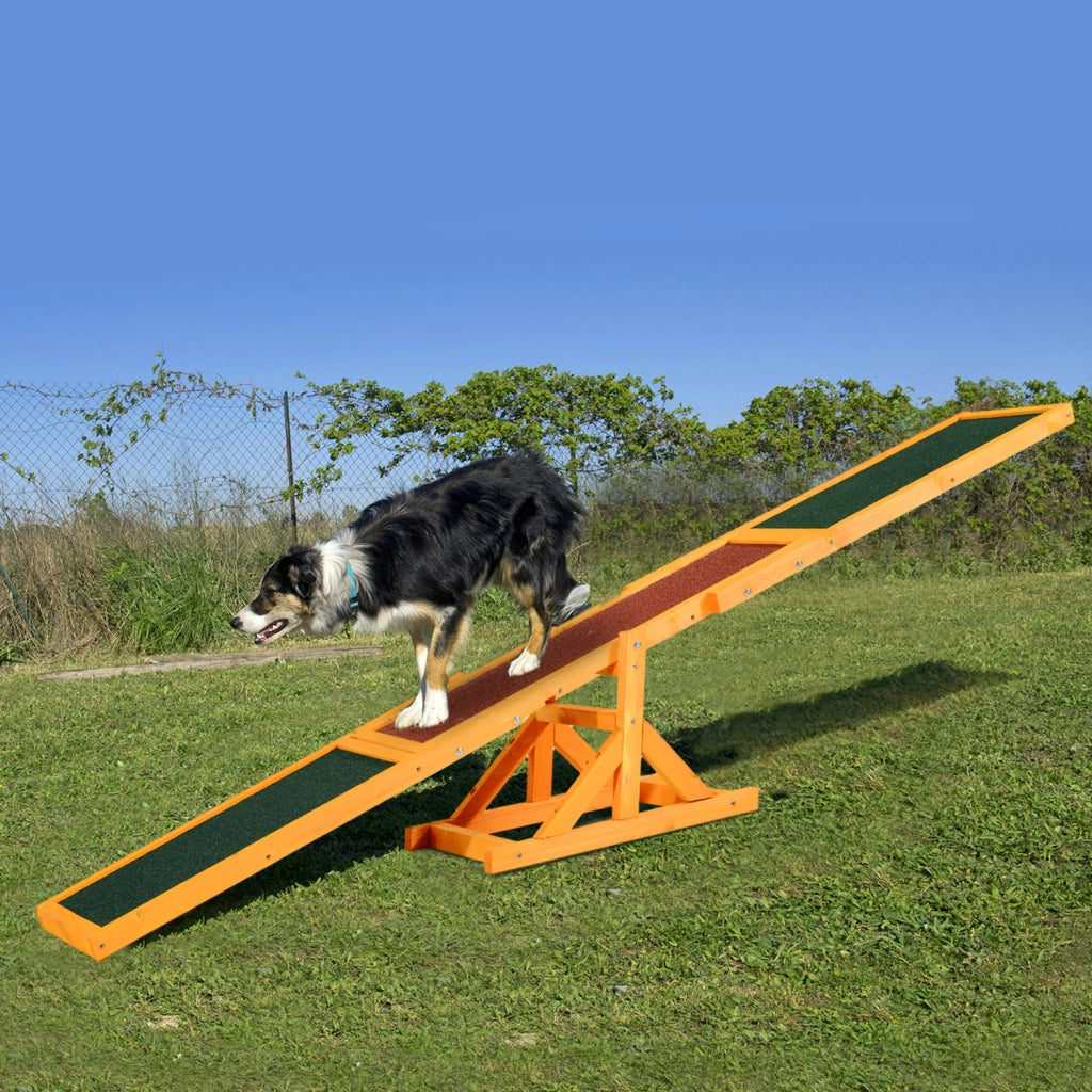 Bascula per Cani Agility ¨C Xylo ¨C Legno Pre-Oliato Feltro Bitumato Antiscivolo