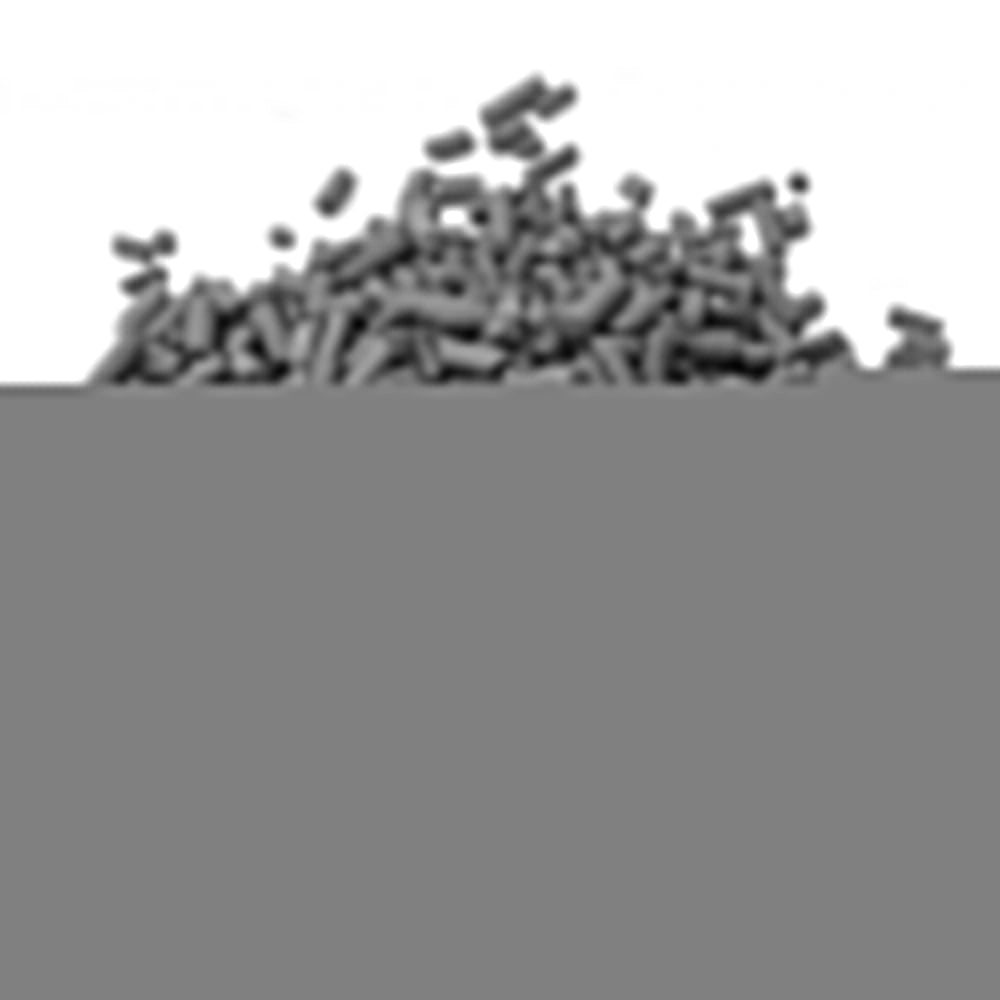 Whimar AquaPure Carbon Major P - carbone superattivo in pellet da 4mm Formato: 10 L