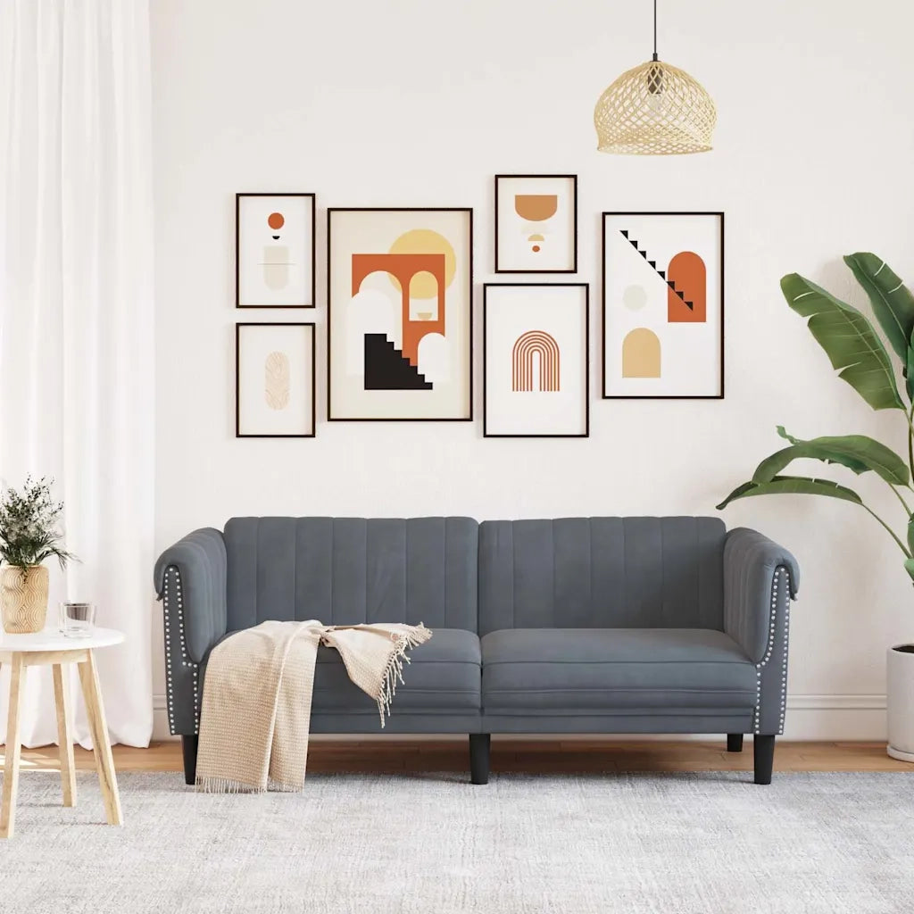 Divano | Divano da soggiorno | Sofa a 2 Posti Grigio Scuro in Velluto