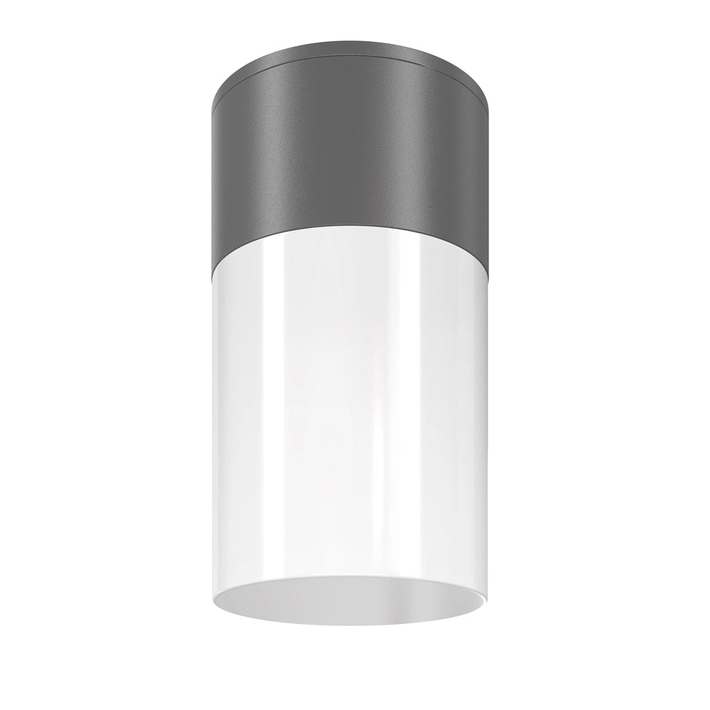 Maytoni plafoniera Willis O418CL-01GR grafite IP54 E27