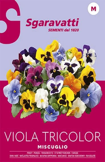 SEMI PER PRATO UNIVERSALE viola tricolor miscuglio 20 pezzi  - SGARAVATTI
