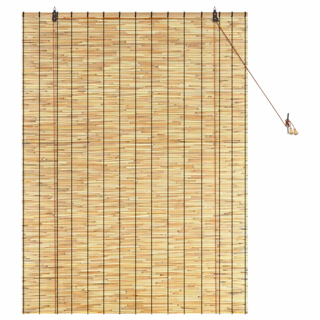 Tenda a rullo Naturale 120 x 160 cm Giunco 42034646