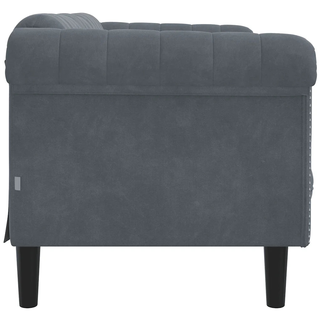 Divano | Divano da soggiorno | Sofa a 2 Posti Grigio Scuro in Velluto