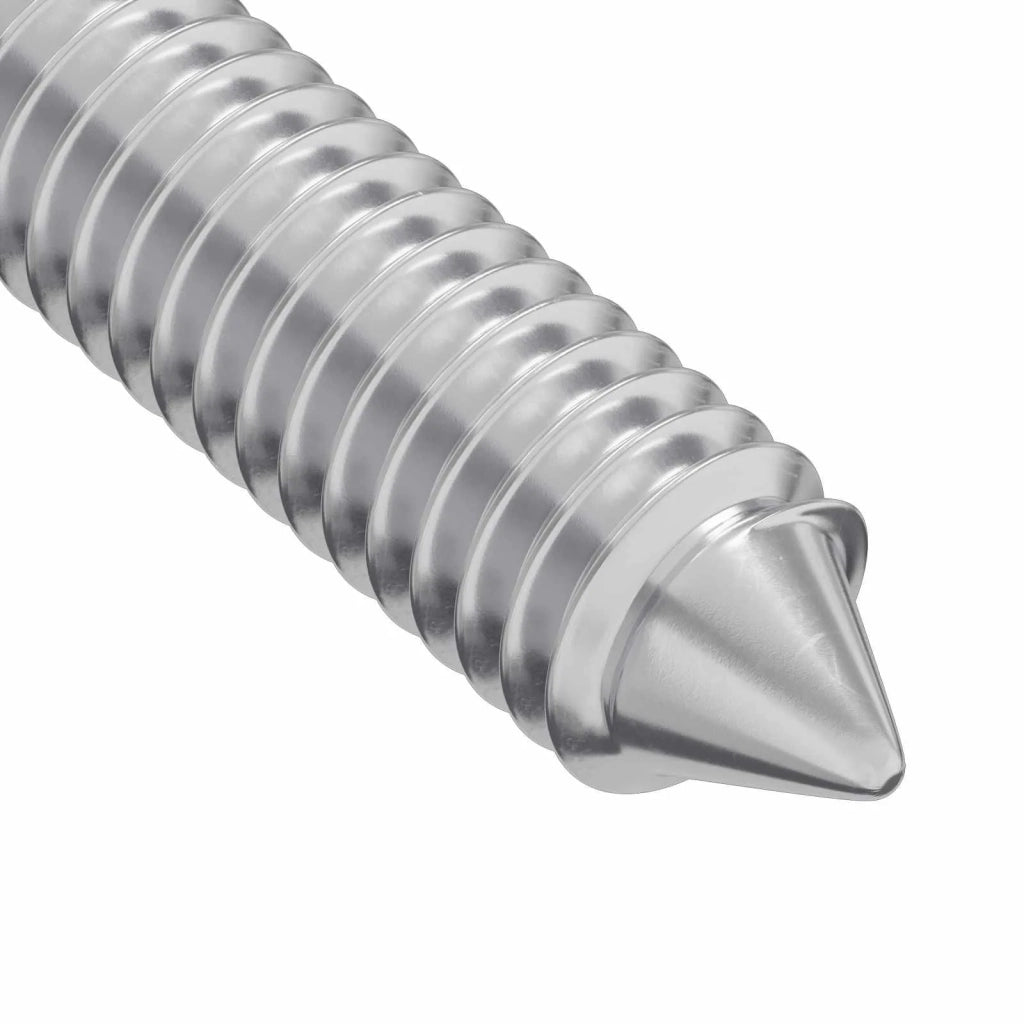 Vite 2 pz Argento M6 x 100 mm Acciaio CFW5580682