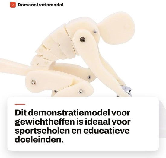 Modello di dimostrazione per sollevamento pesi - Flessibile in ABS - Analisi biomeccanica educativa - Ridotto spazio - Visione visiva chiara - Materiale robusto e resistente ai urti - Modello educativo