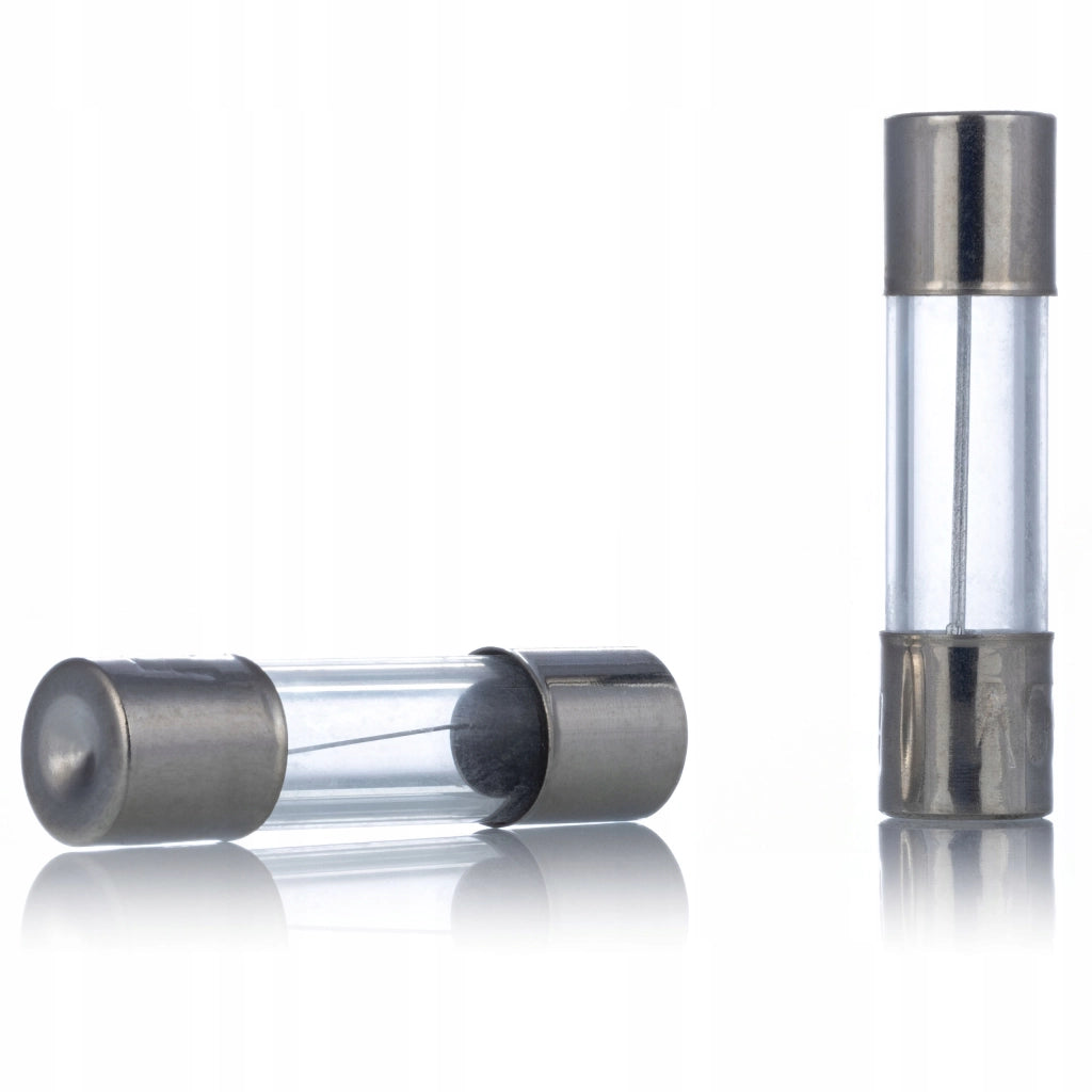 Set di Fusibili in Vetro WTA FuseBox Pro 250 – 250 Pezzi | 250V | 1A-20A | 5x20 mm + 6x30 mm | Rapida Reazione