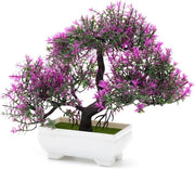 Decorazione Bonsai Colorata per Interni e Ufficio