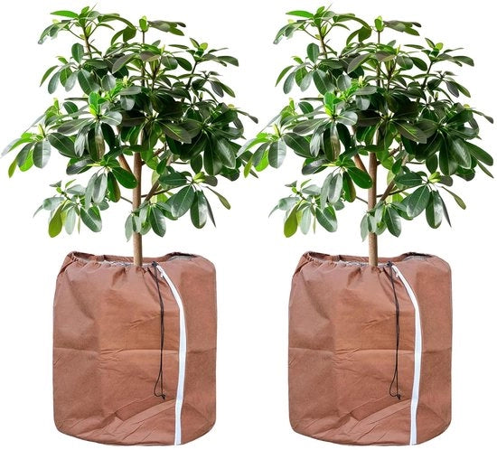 Protettore Termico per Pianta, Sacchetto di Protezione per Pianta di Interno, Protezione per Pianta di Vaso con Cordino, 2 pezzi - 60 x 90 cm