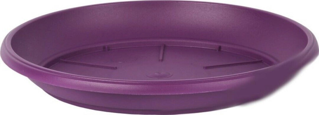 Piatto Per Vaso Similcotto Spazz Diametro 25 Viola Set 5 Pezzi - Arca