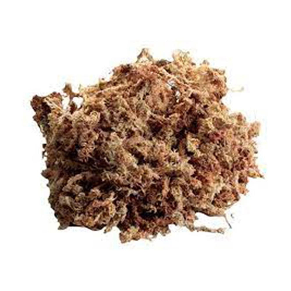 Zoomed New Zealand Sphagnum Moss 1,3 litri