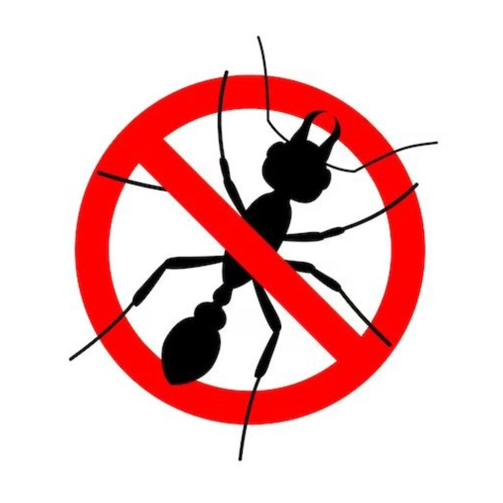 Microgranuli formiche insetti barriera protettiva interni esterni 250 gr ekostop