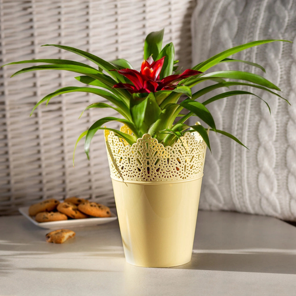 Vaso da fiori KADAX, vaso da fiori, coperchio, vaso da fiori alto in plastica, 14,5 cm, giallo