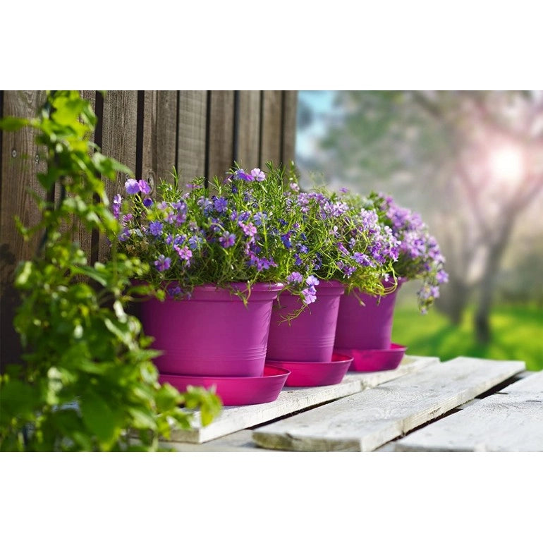 Fioriera Campanula Ø 20 Cm