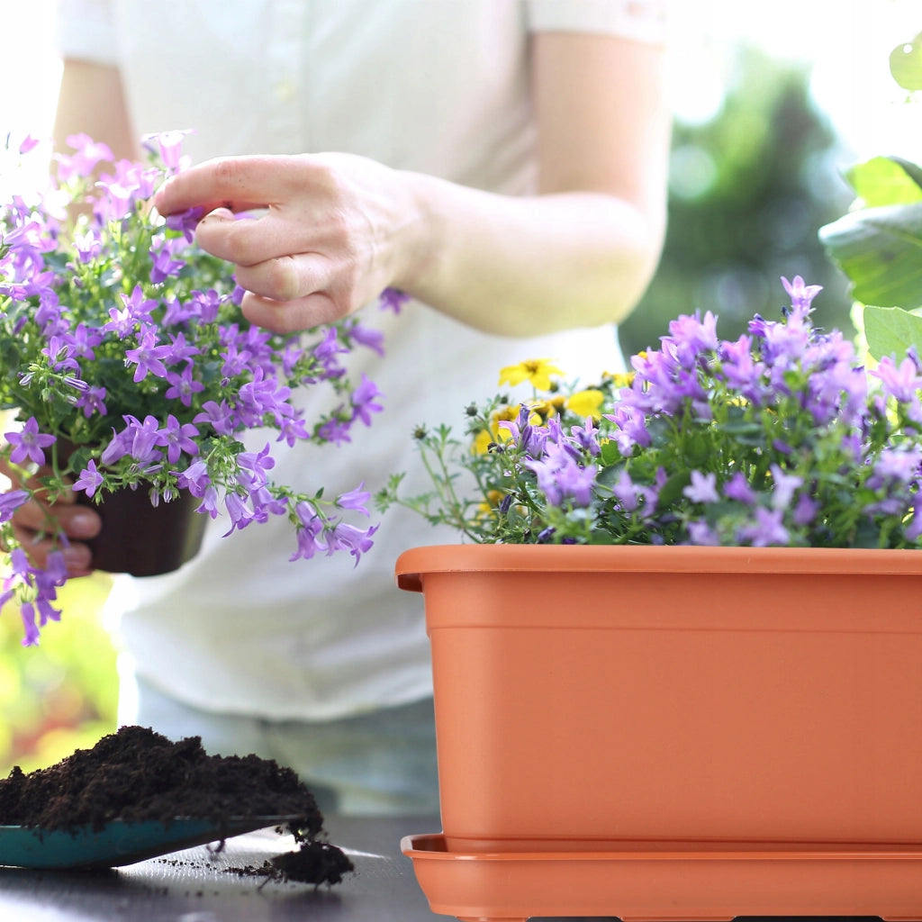 Vaso da fiori KADAX per balcone, 80 cm, con base oblunga