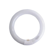 Lampada Fluorescente T9 W32 Circolare Airam
