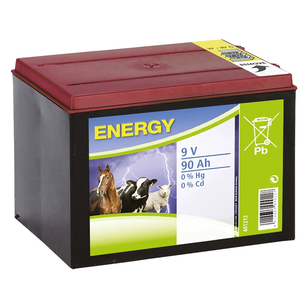 BATTERIA ELETTRIFICATORE 9V-170AH
