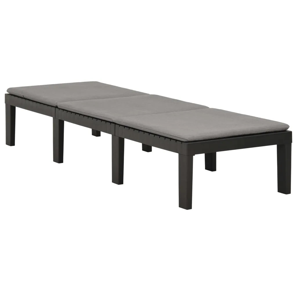 Lettino Prendisole | Sdraio da giardino | Lettino da sole con Cuscino in Plastica Antracite