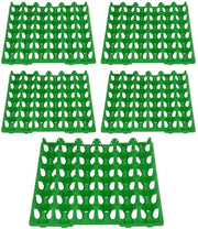 Esercizi di plastica per uova - 5 pezzi - Colore verde