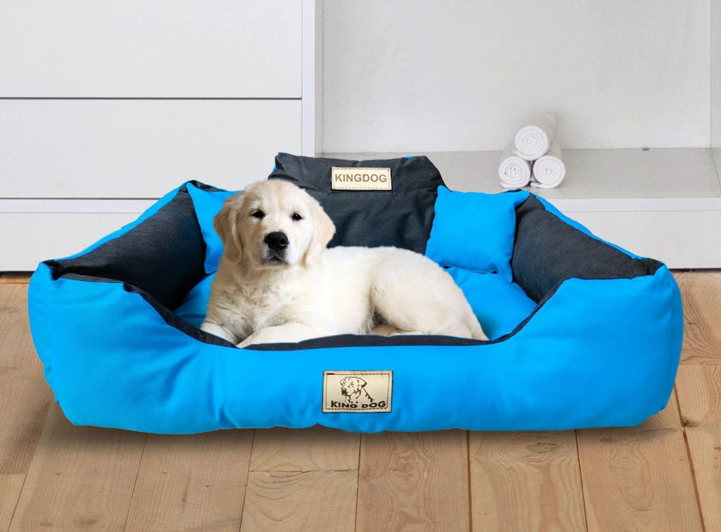 AIO FACTORY 130x105 cm KINGDOG Cuccia per cani impermeabile personalizzabile Blu